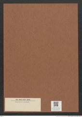 Diatomeae indet. Zeichnungen Sammlung Grunow Mappe 03110 (Herbarium_W_Grunow_drawings_Folder_03110)